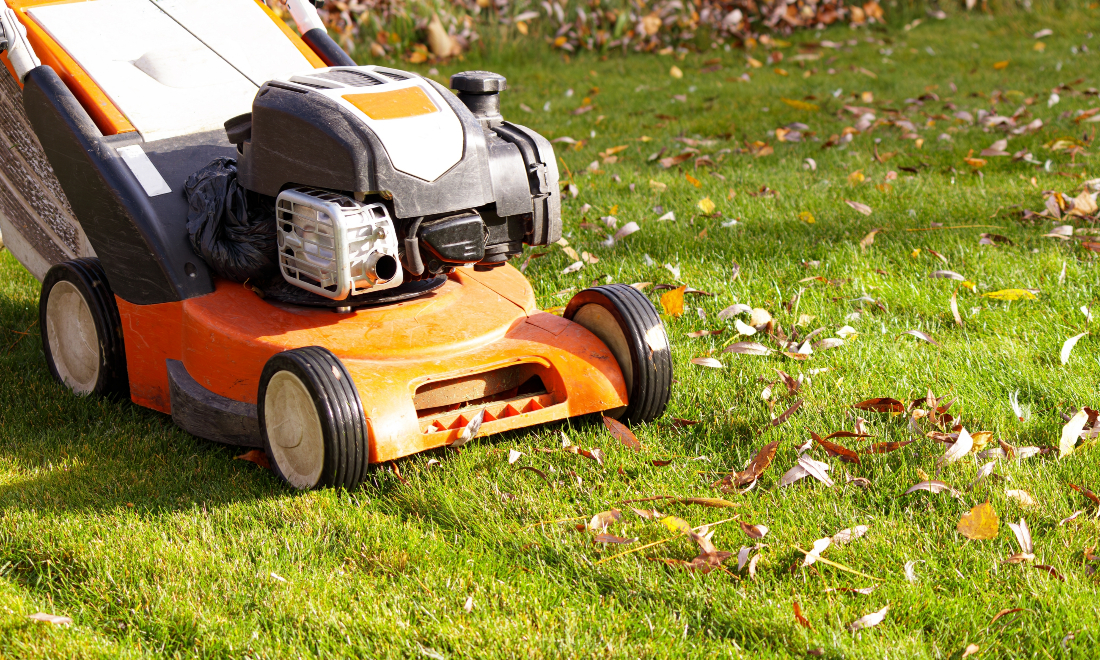 Man denied Swiss citizenship for mowing during holidays wins appeal
