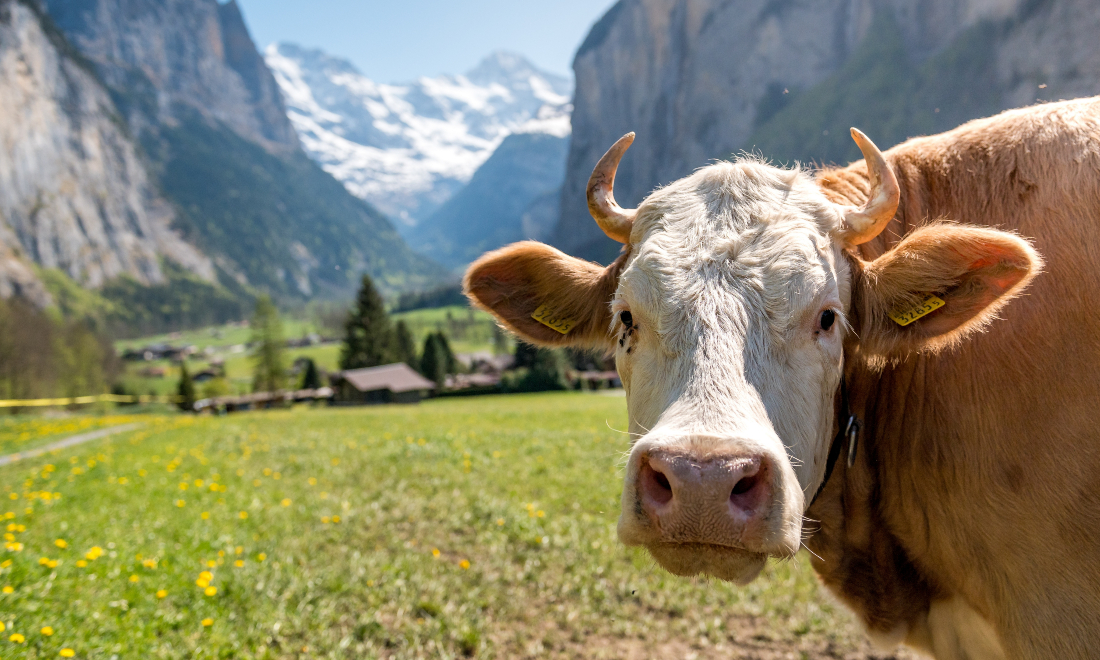 July 2024: 10 things people in Switzerland need to know