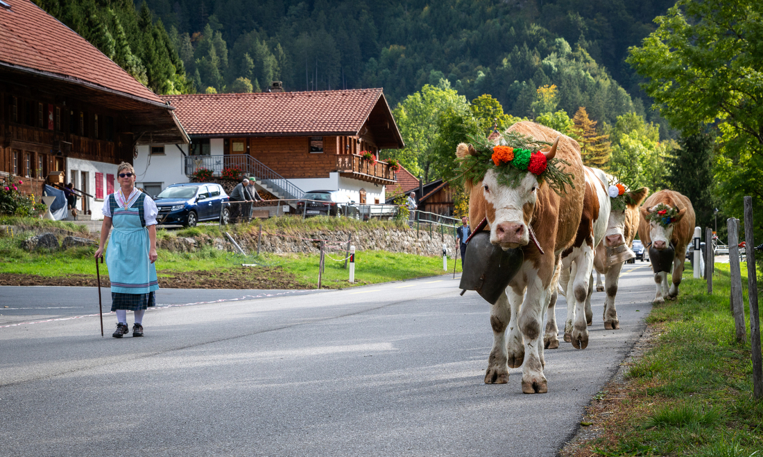 5 tell-tale signs that autumn has arrived in Switzerland 