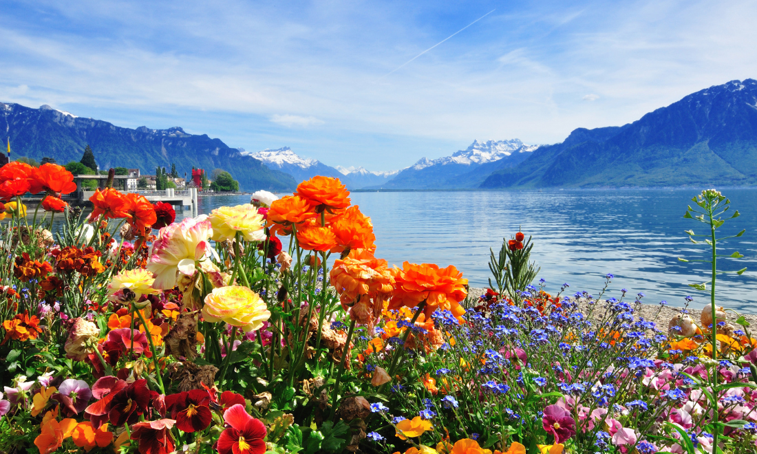 5 activities to explore the blossoming beauty of spring in Switzerland