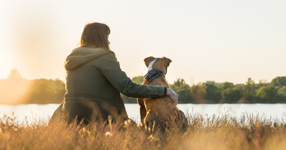 Bern moves to allow people to be buried with their pets