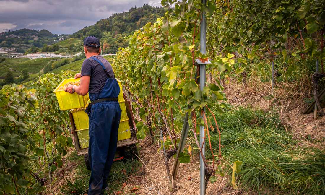 Switzerland to be short of 460.000 workers by 2035, study finds