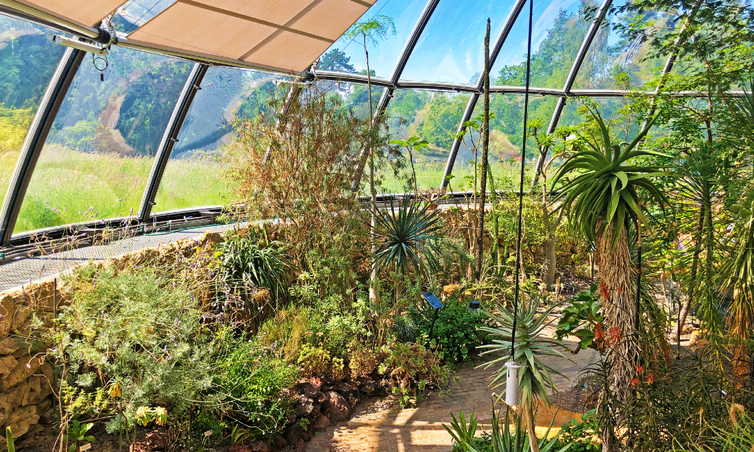 7 beautiful botanical gardens in Switzerland