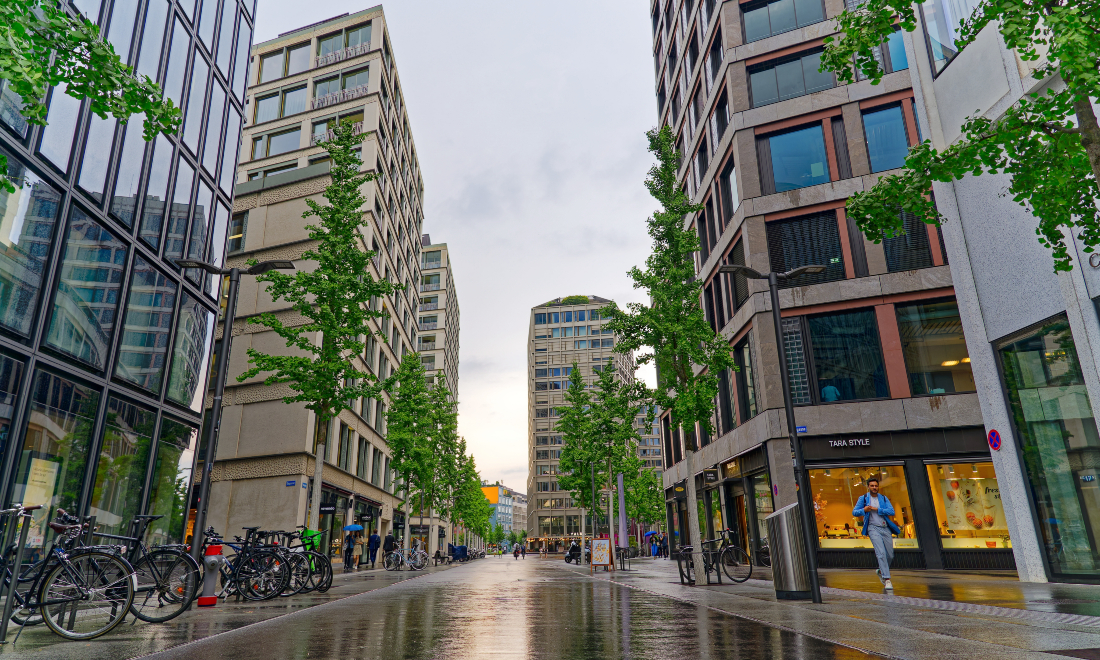 Zurich neighbourhood to replace trees because they are too smelly 