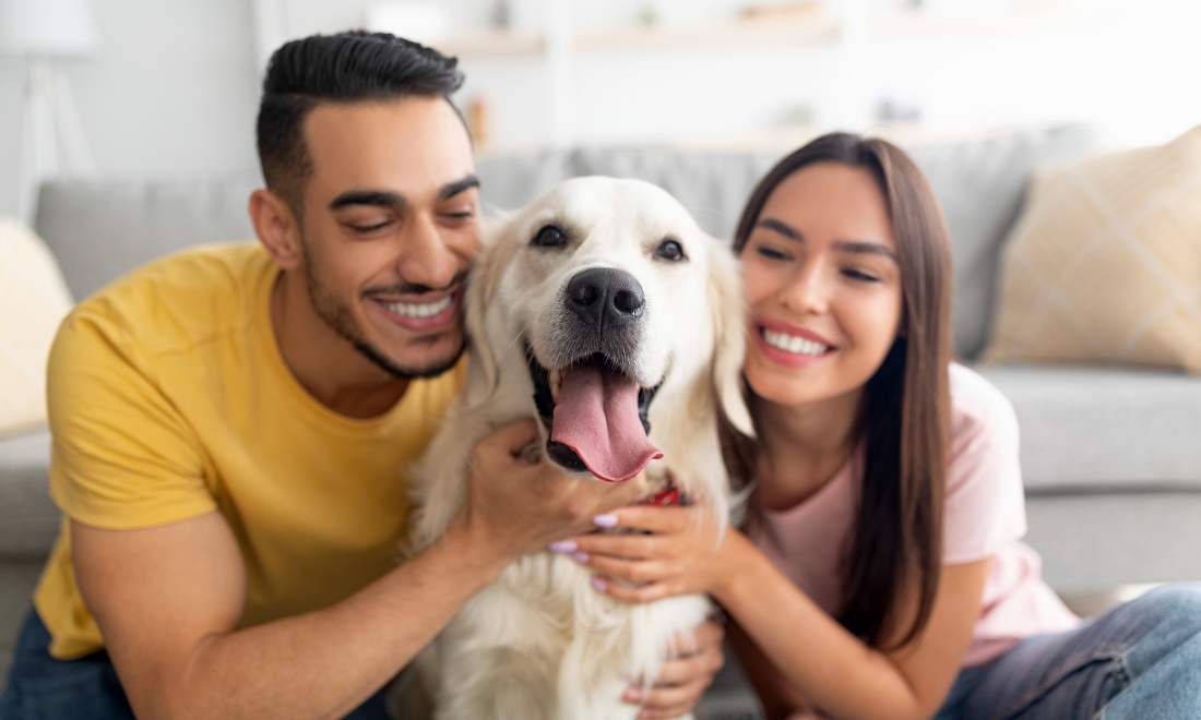 6 questions to ask yourself before relocating with pets to Switzerland 