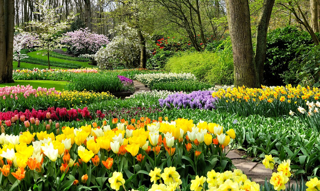 6 of the most beautiful gardens in Europe 